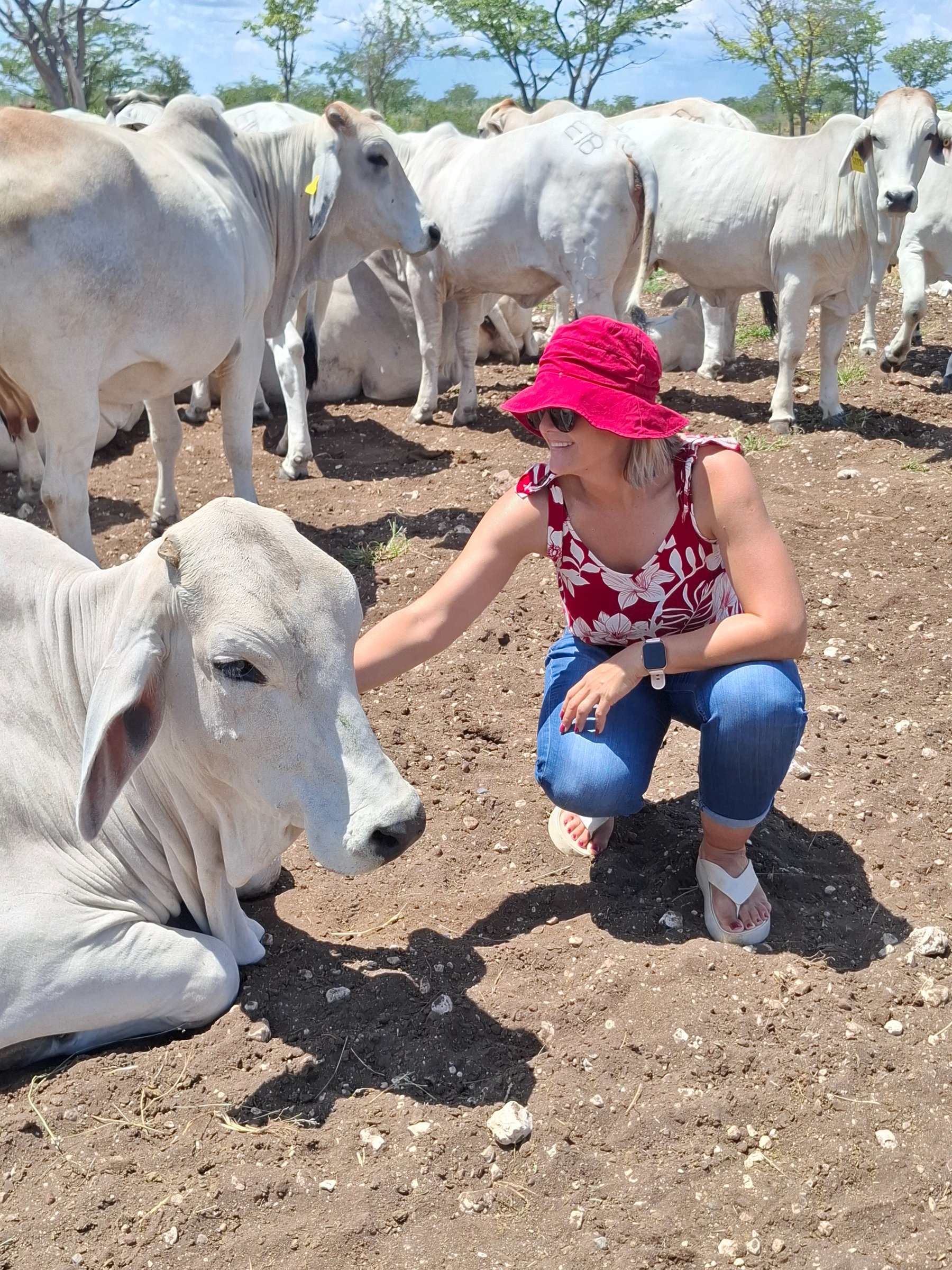 Tarentaal Guest Farm