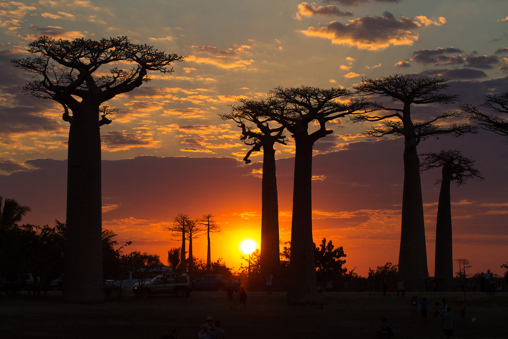 GO TRAVEL MADAGASCAR