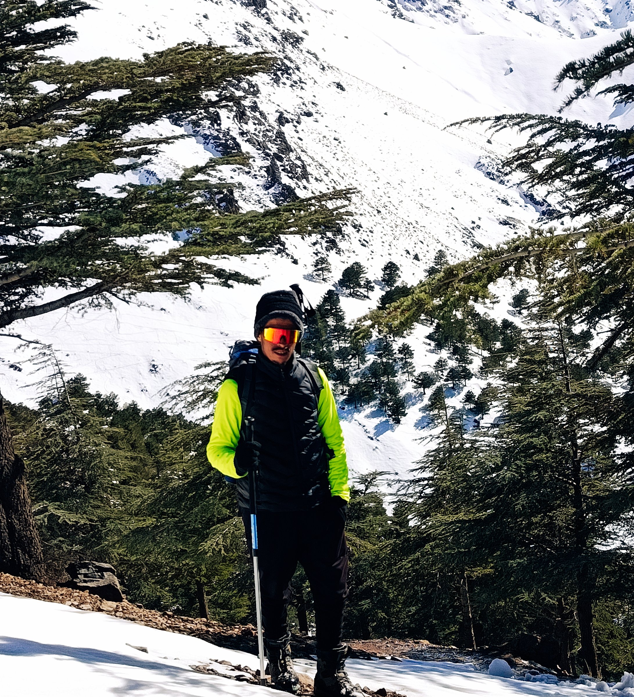 Local guide