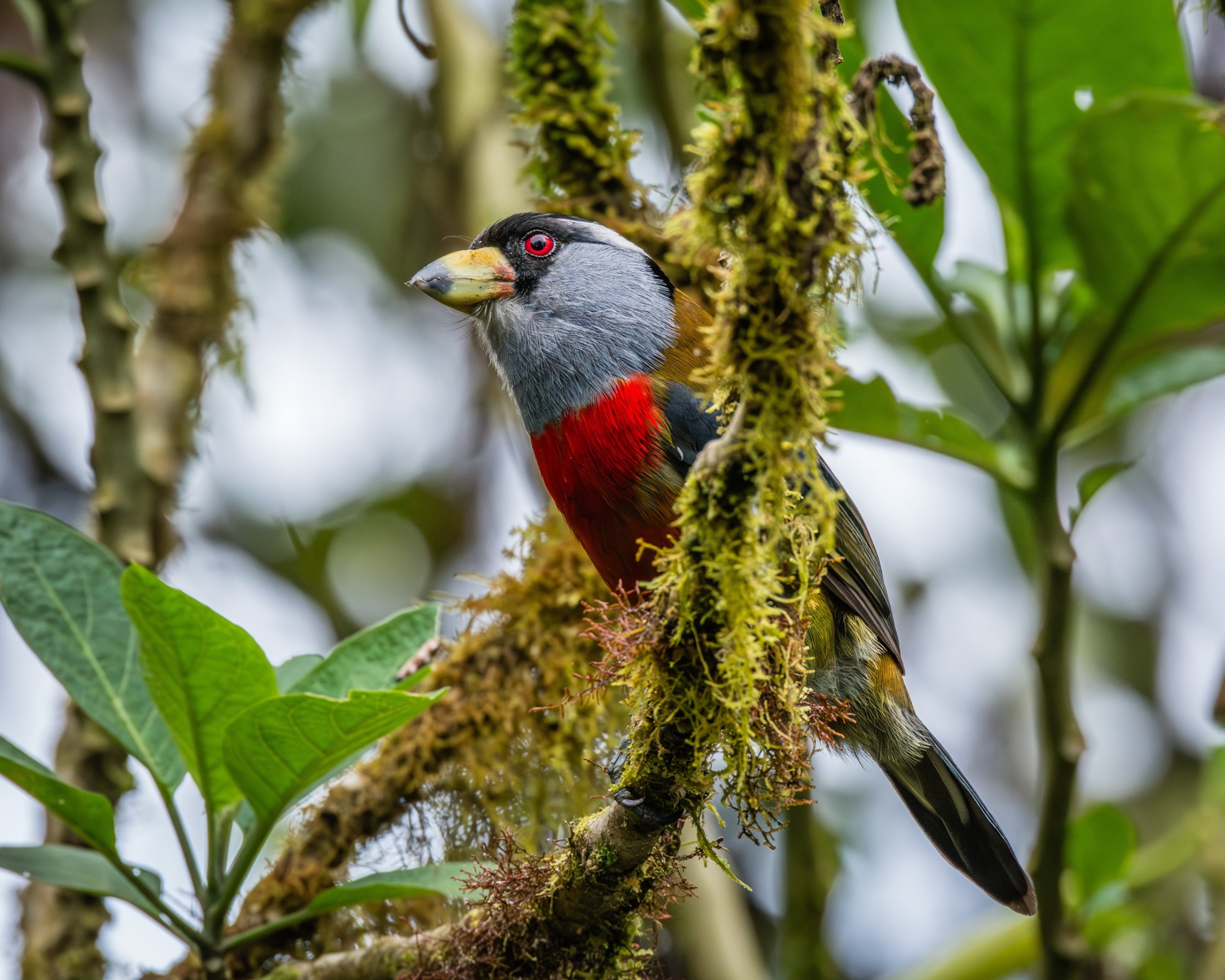 Next Adventure Ecuador Travel
