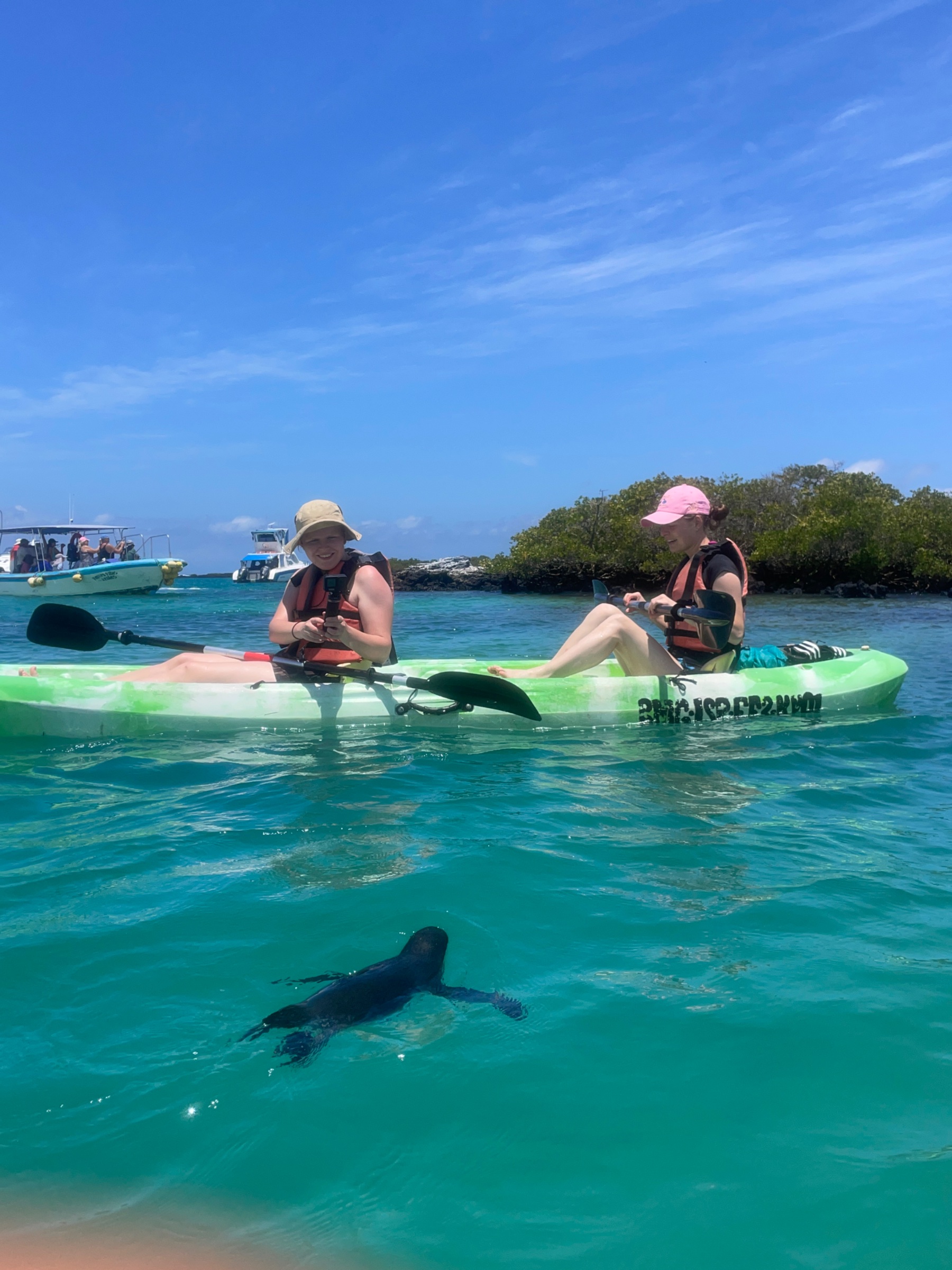 Kayak Trica Tintoreras
