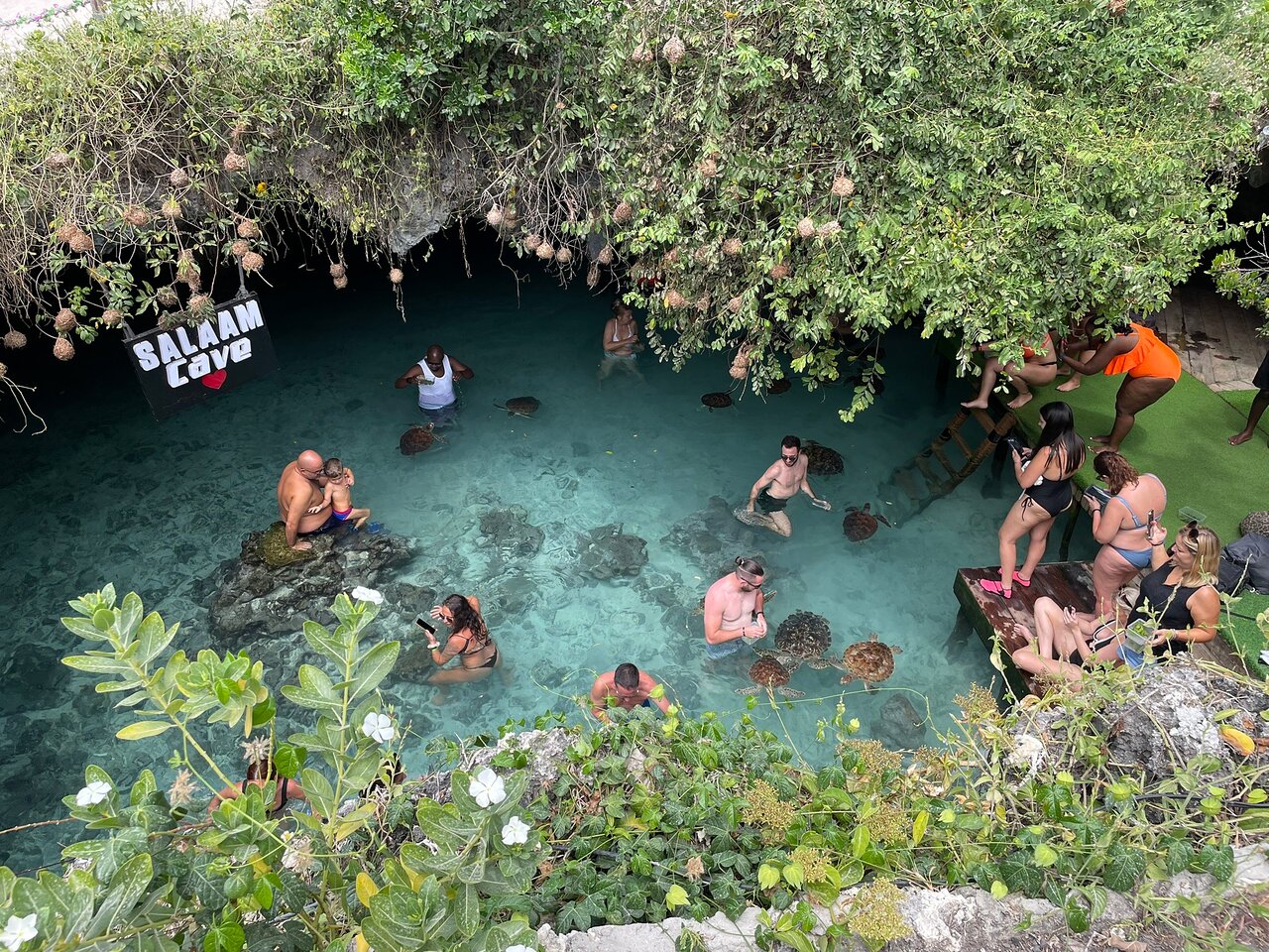 Opal Tours And Safaris