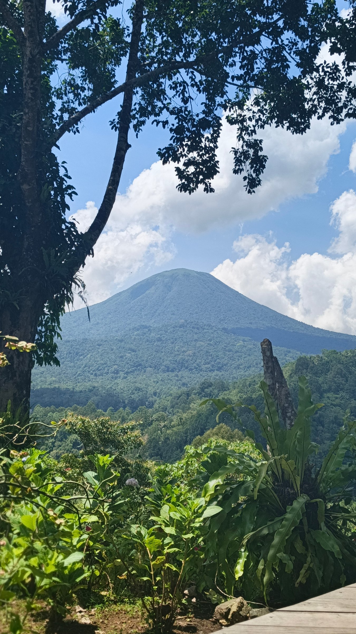 Vall North Sulawesi Explore