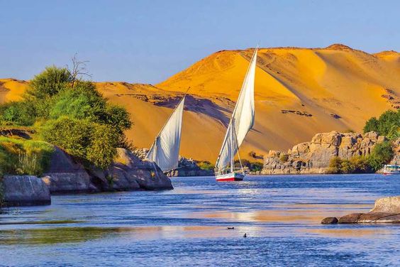 Misr Tours