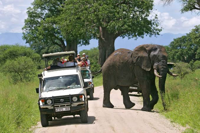 SUNRISE AND SUNSET SAFARIS