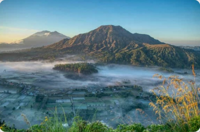 M Tour & Travel Bali