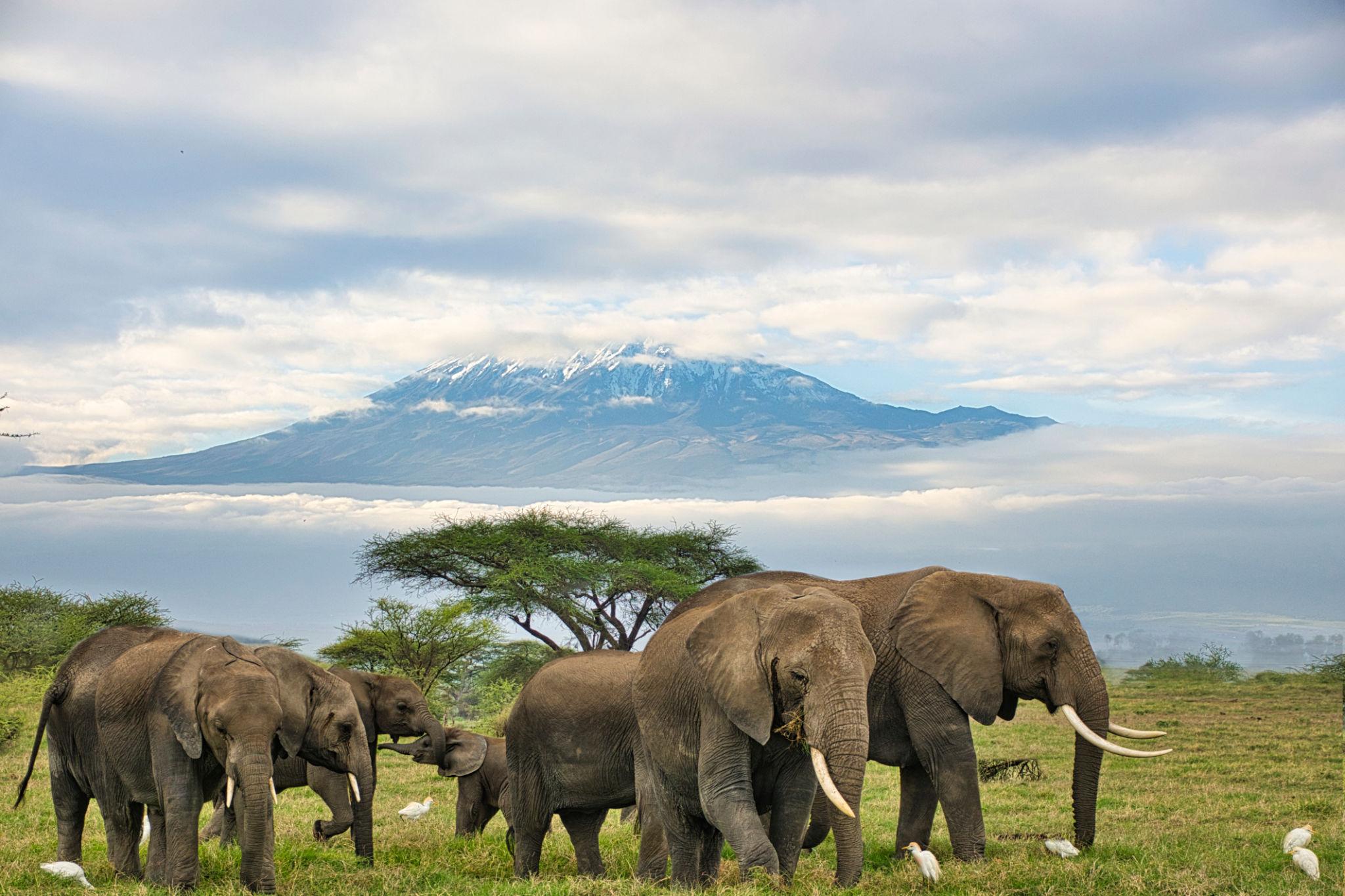 MAGICAL WORLD EXPLORE SAFARIS