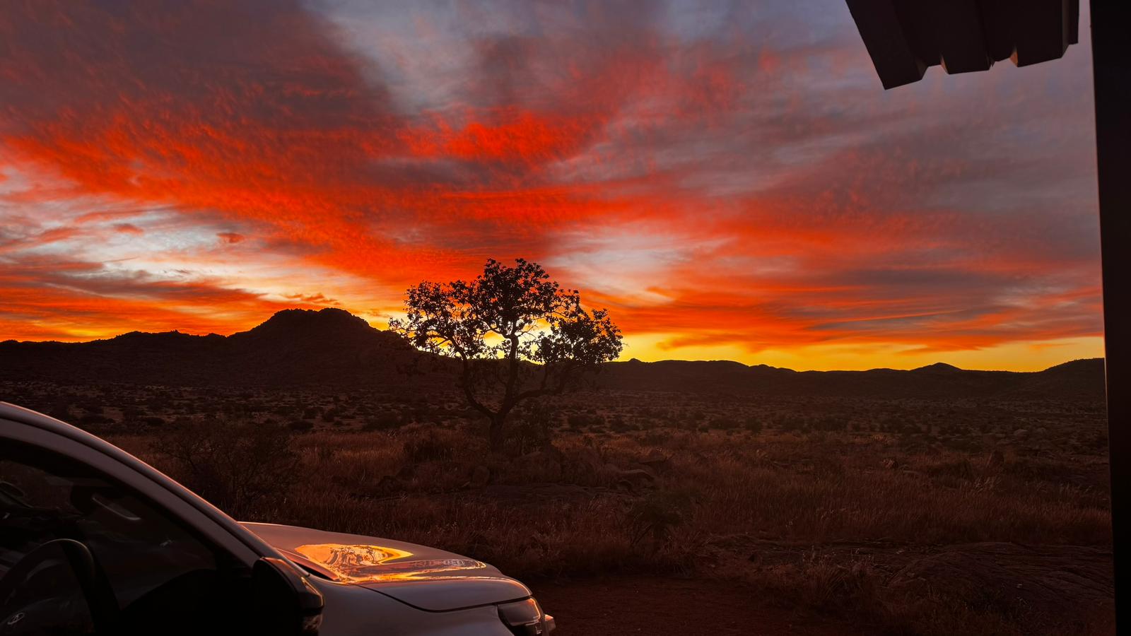 Escape Car Rental