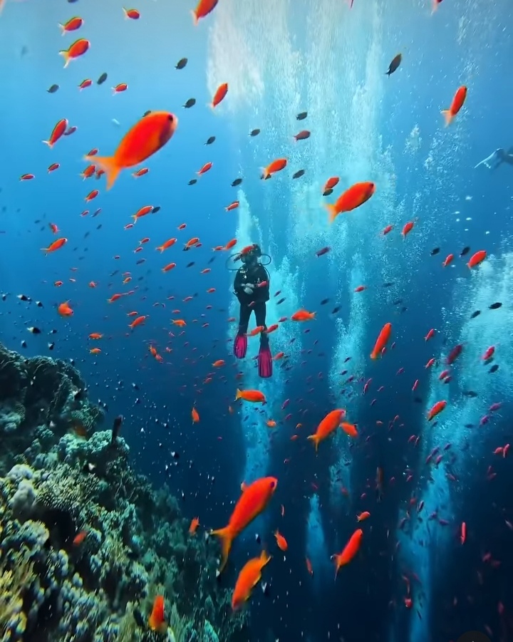 Rajput Adventure Bohol