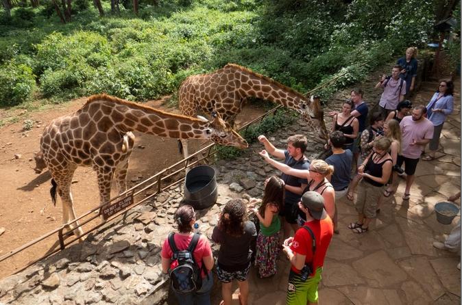 Jossec Tour and Safaris