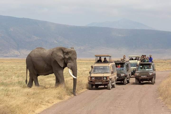 Jossec Tour and Safaris