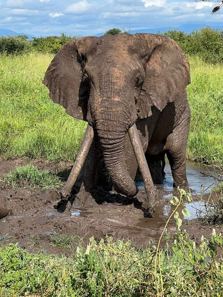 Jossec Tour and Safaris