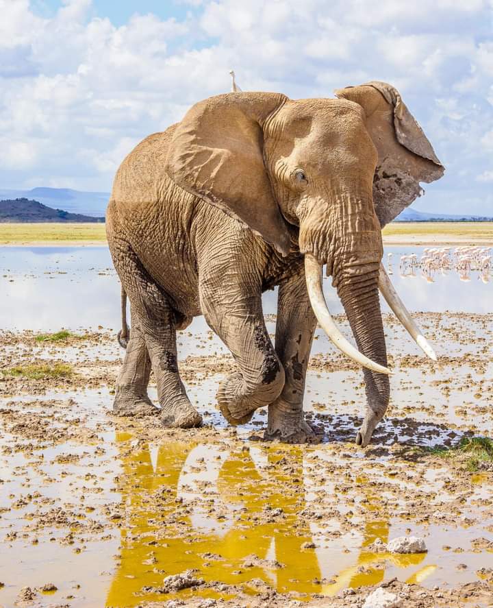 Jossec Tour and Safaris