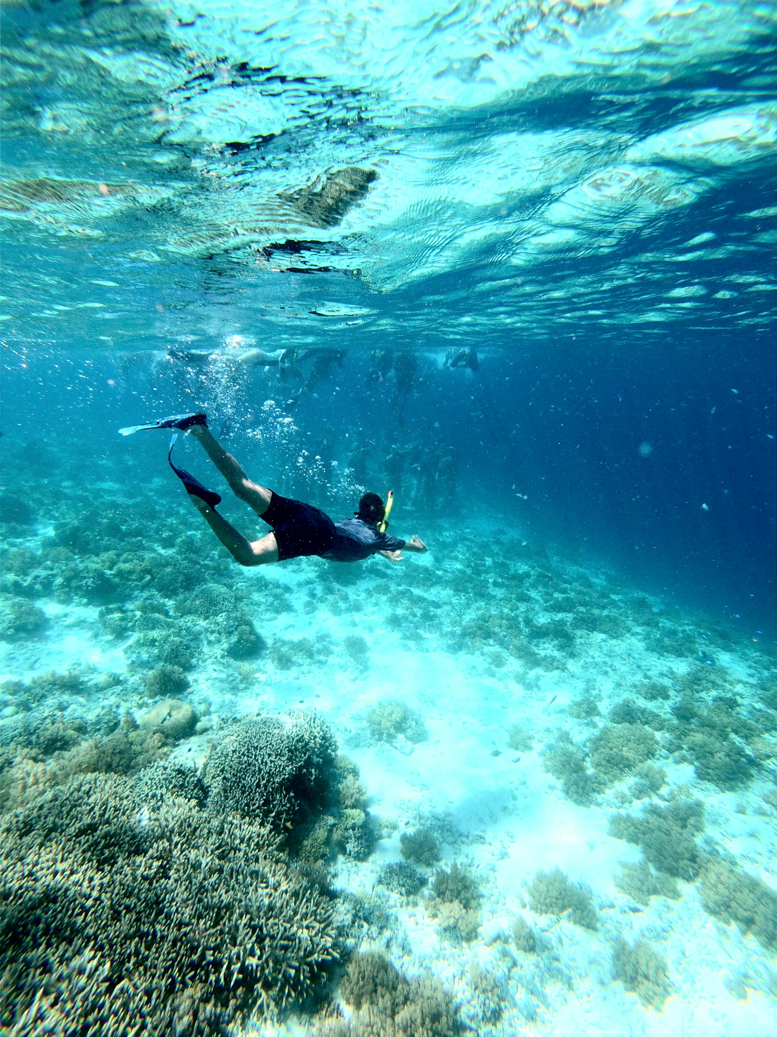Macadamia eco travel tour