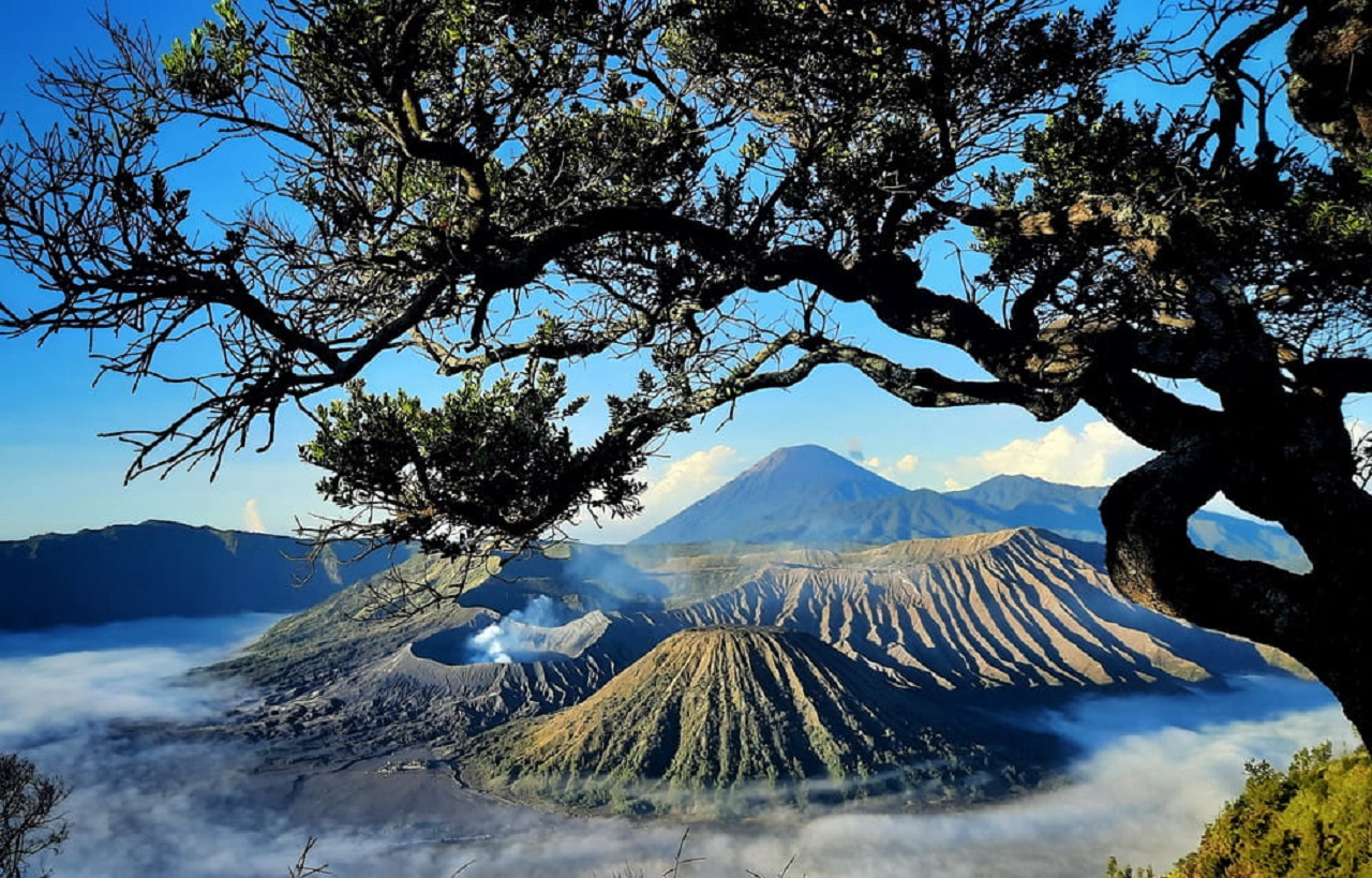 Bali paradise tour & travel