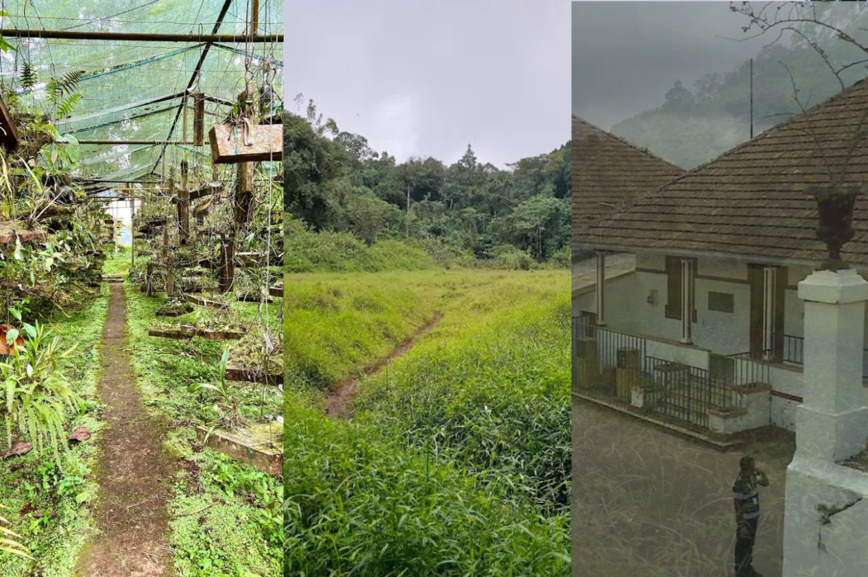 Sao Tome Tours