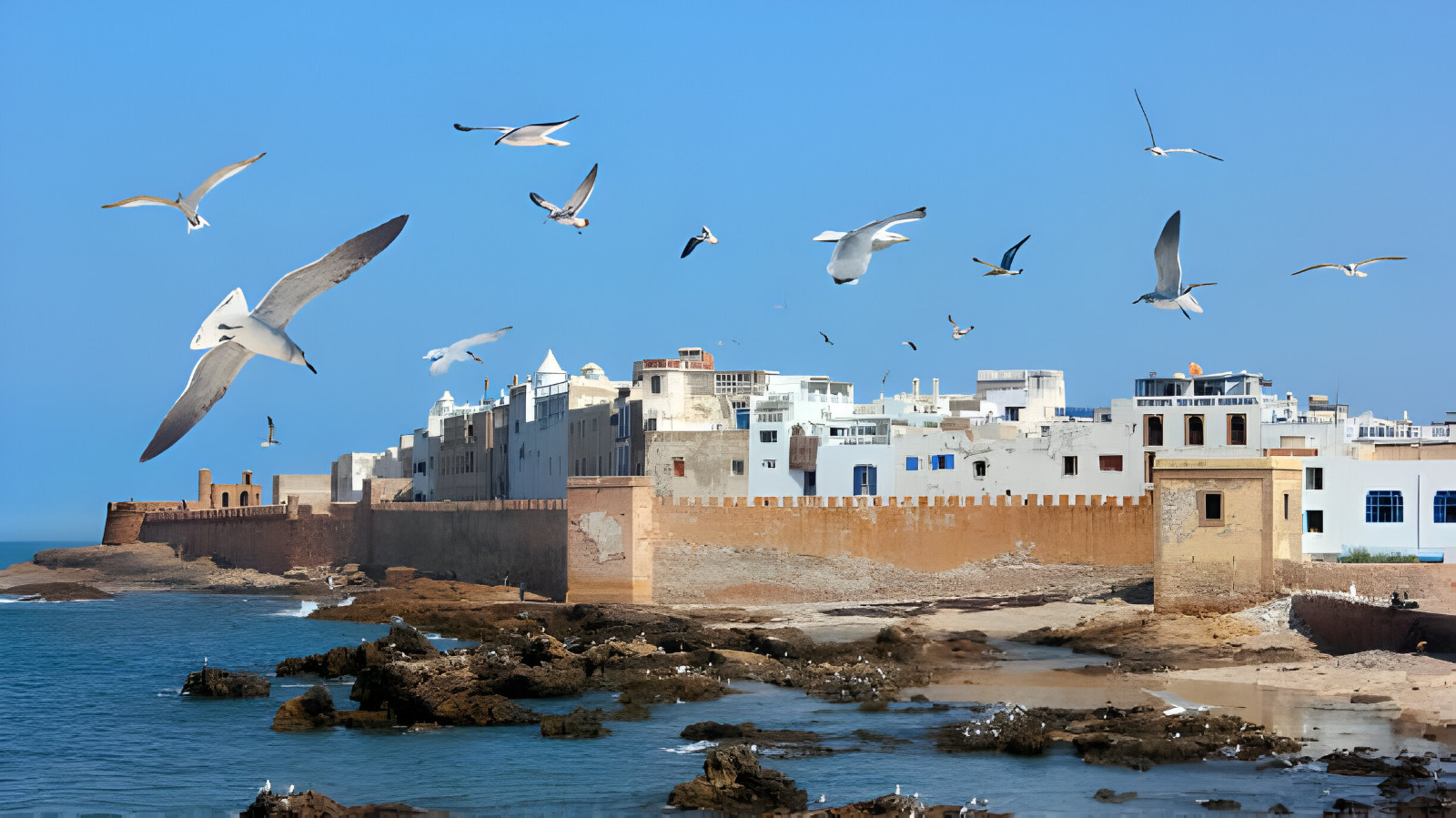 Private Day Trip to Essaouira