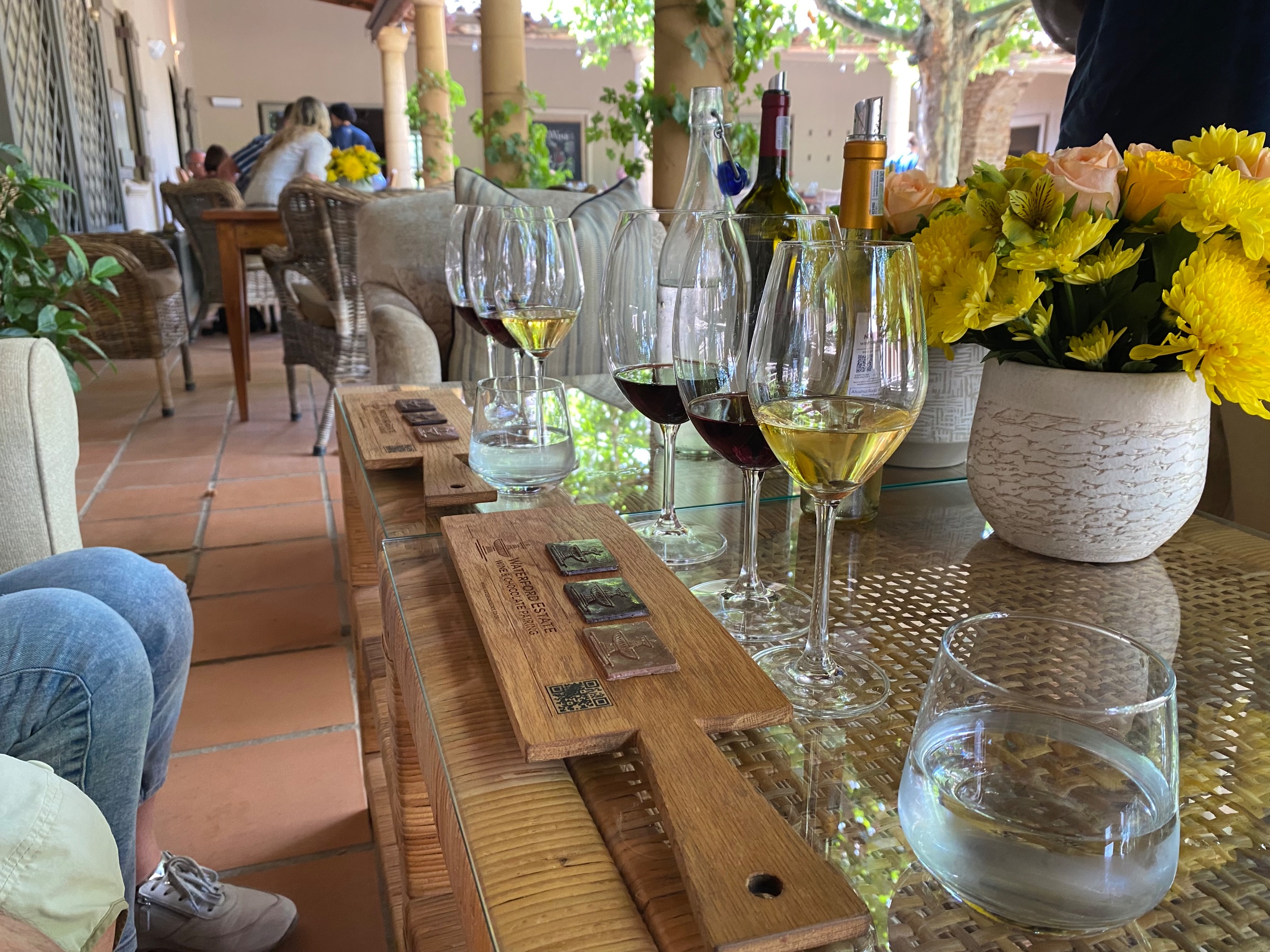 Vine Root Tours