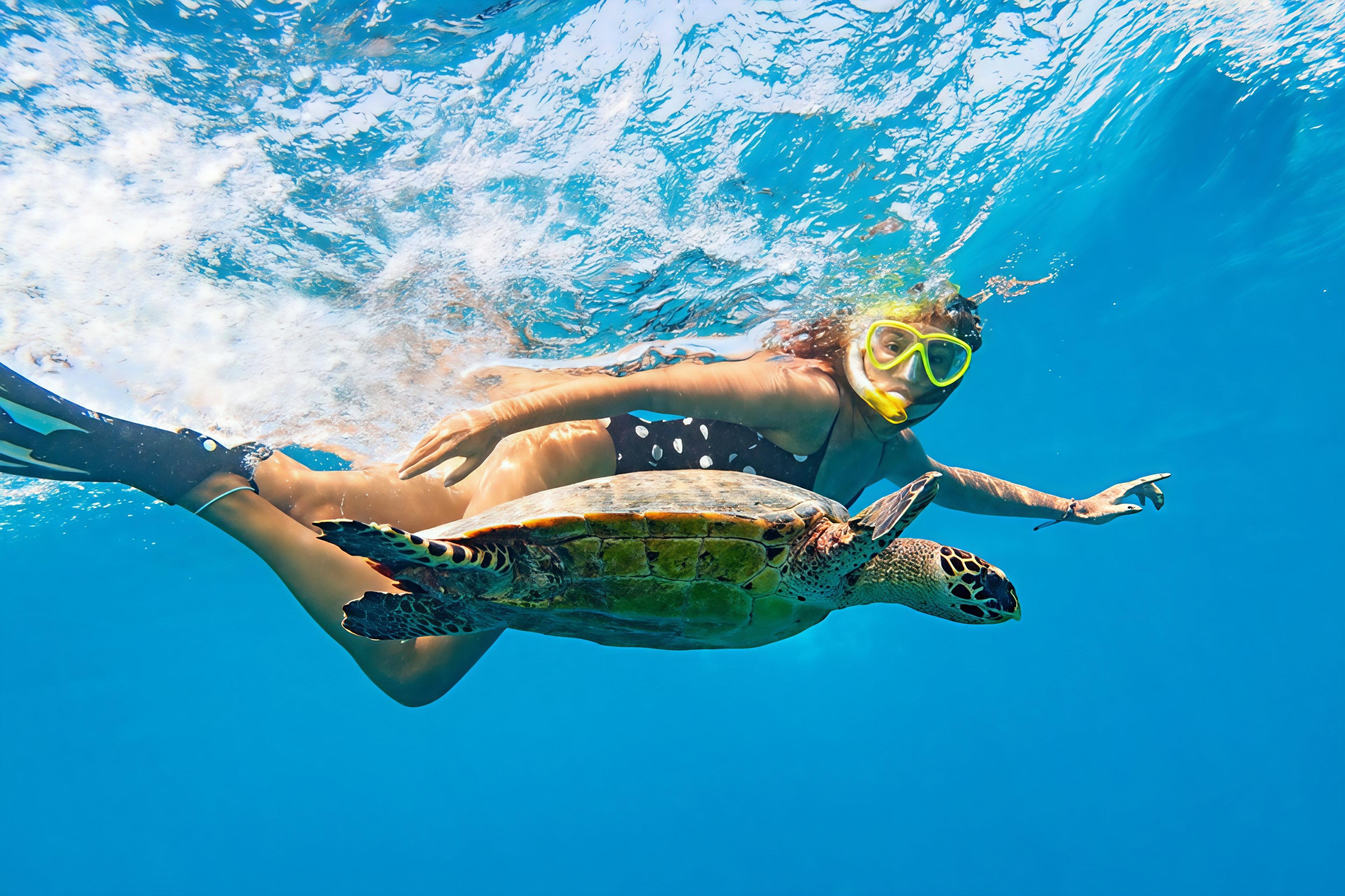 ALOHA FANTASY TOURS,LLC