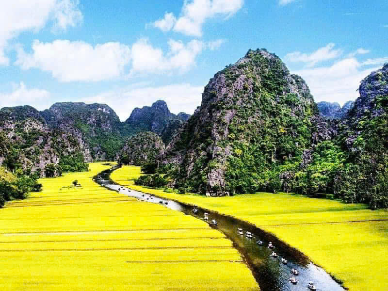 Ninh Binh Discovery Bus