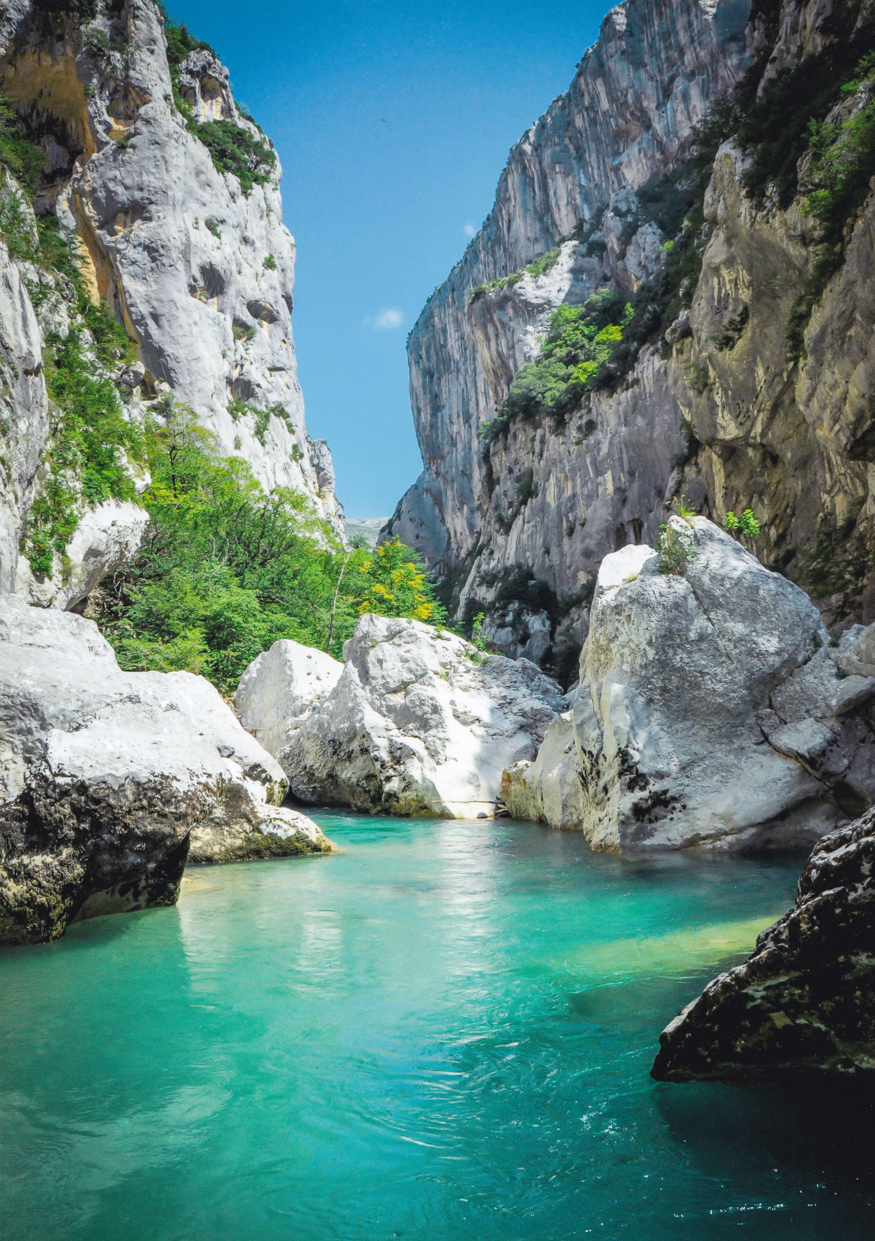 Aloha Verdon