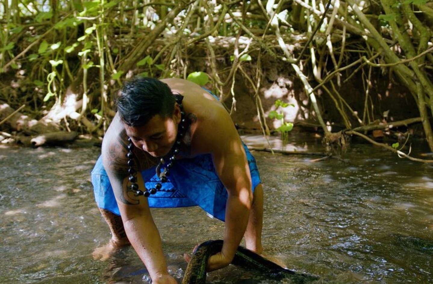 MOOREA SAFARI TOURS