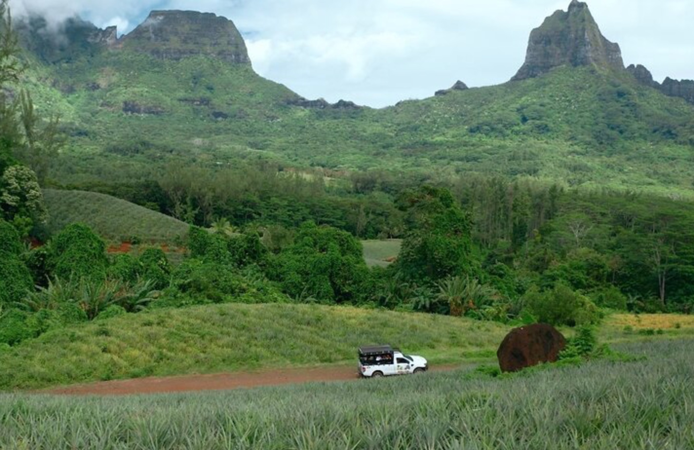 MOOREA SAFARI TOURS