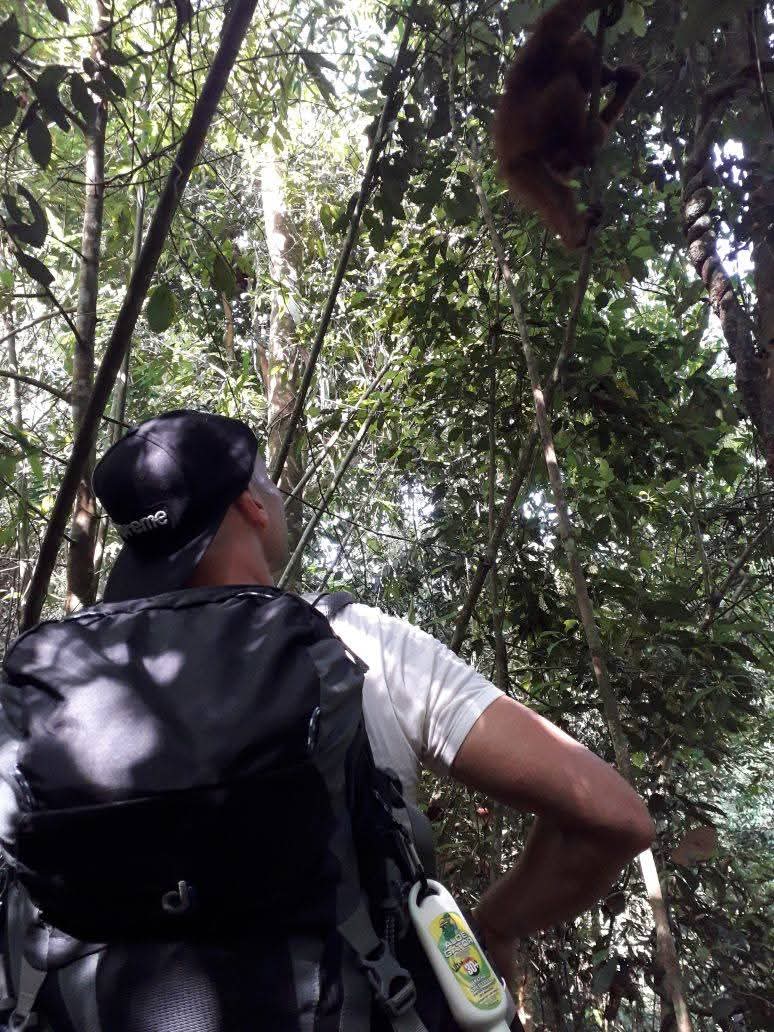 K77 Backpackers - Jungle Tours