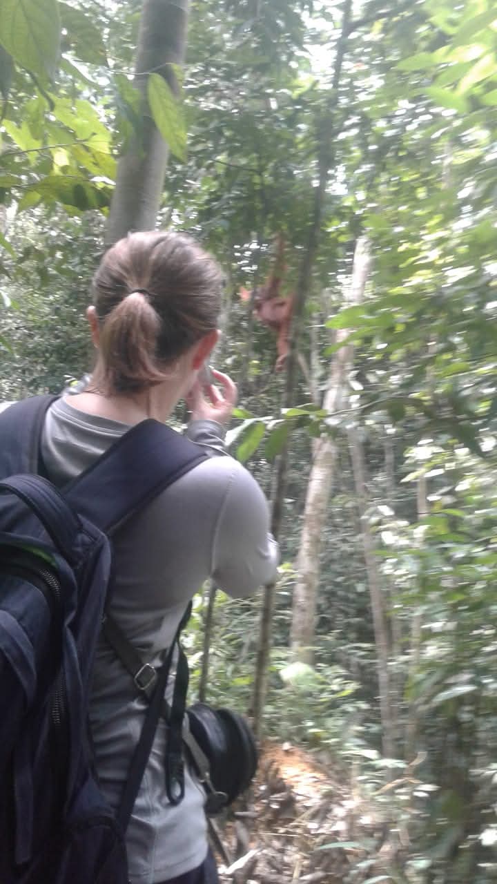 K77 Backpackers - Jungle Tours