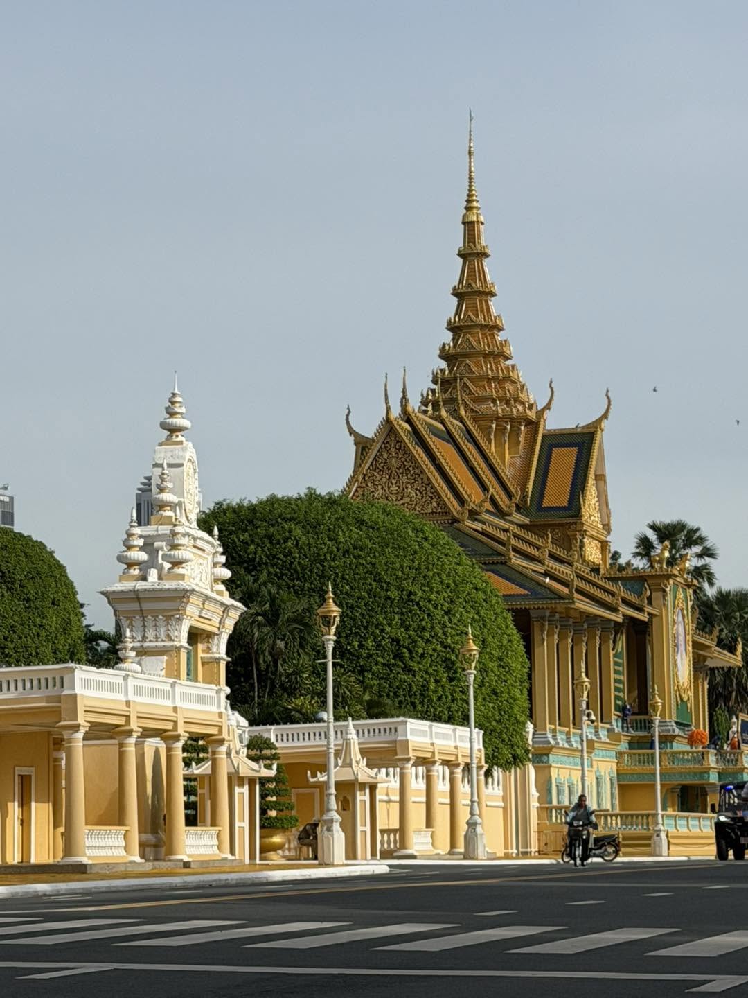 ZeroWings International Travel
