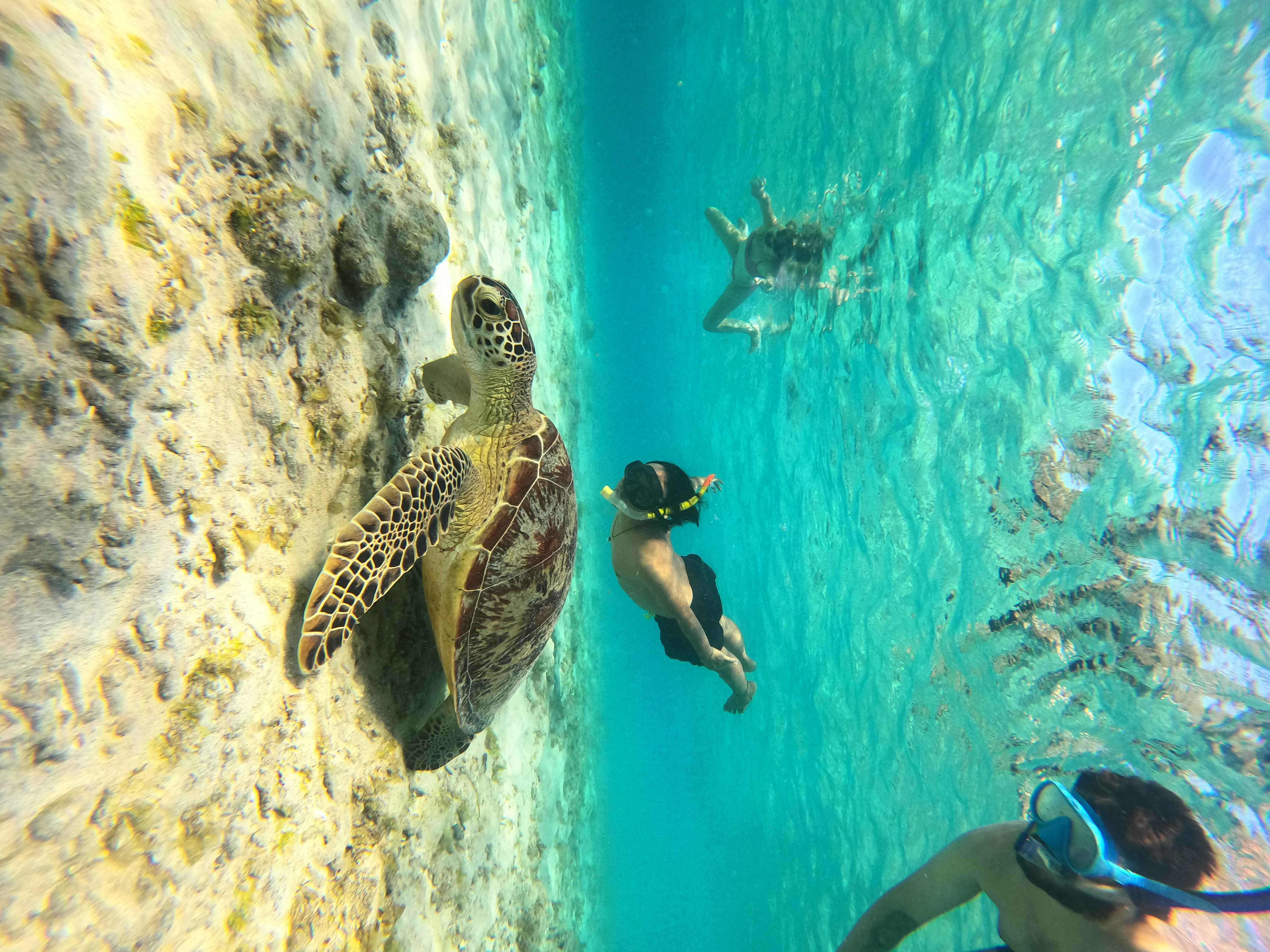 Gili Paradise Tour & Travel