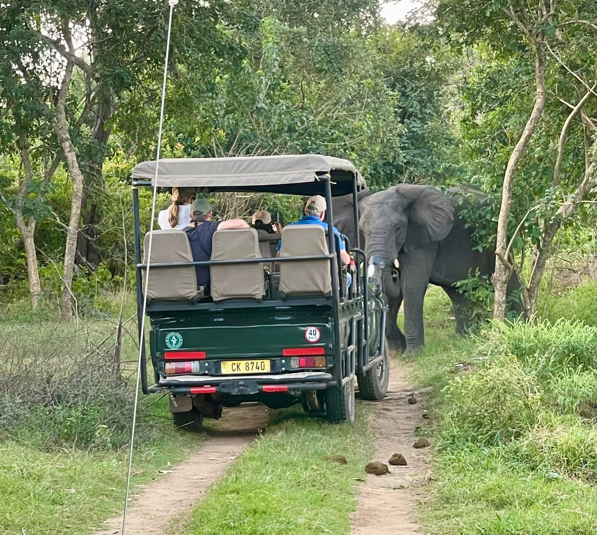 Mlambe Adventure Safaris