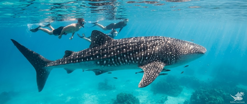 Maldives Travel Secrets