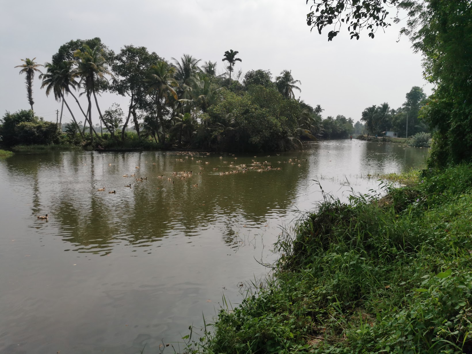 Canoe Kerala