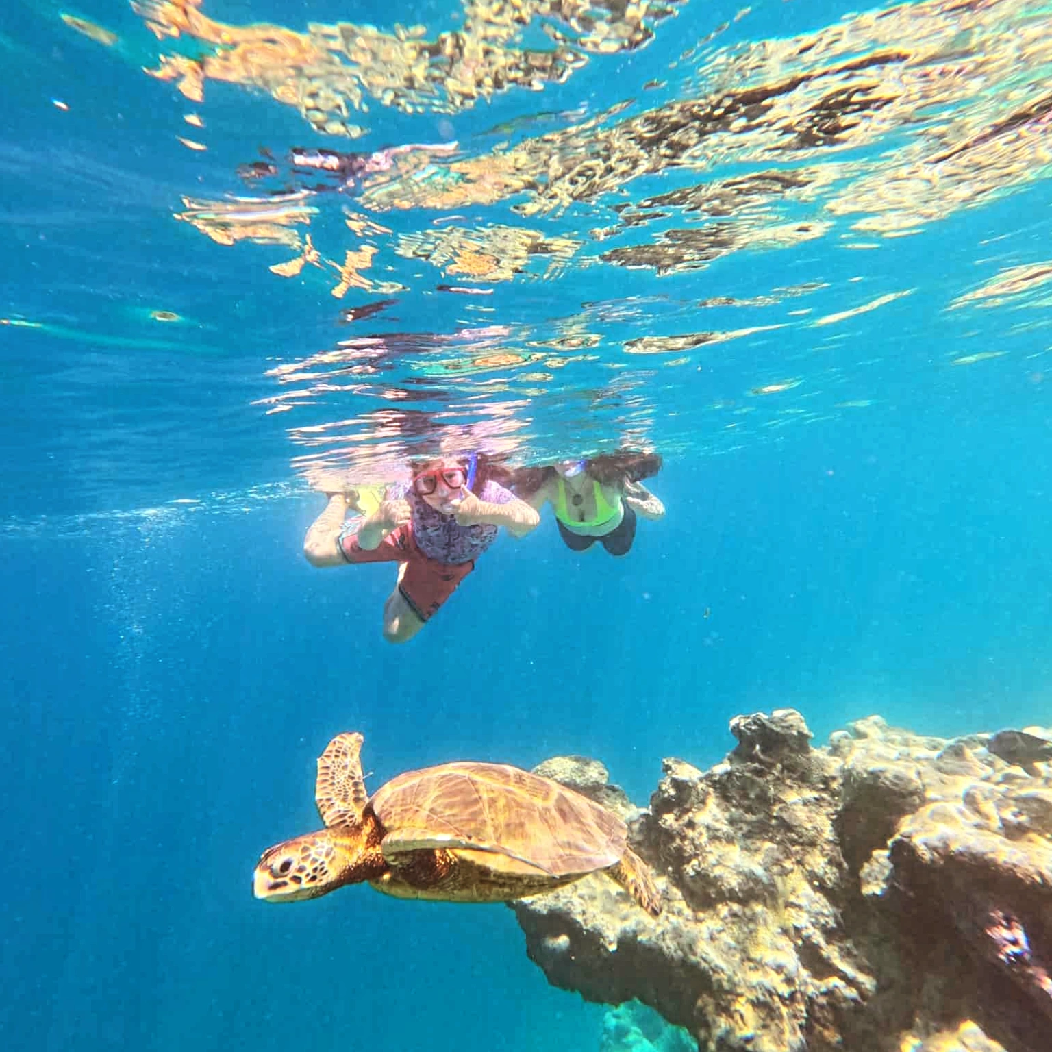 Atlantean Island Tours