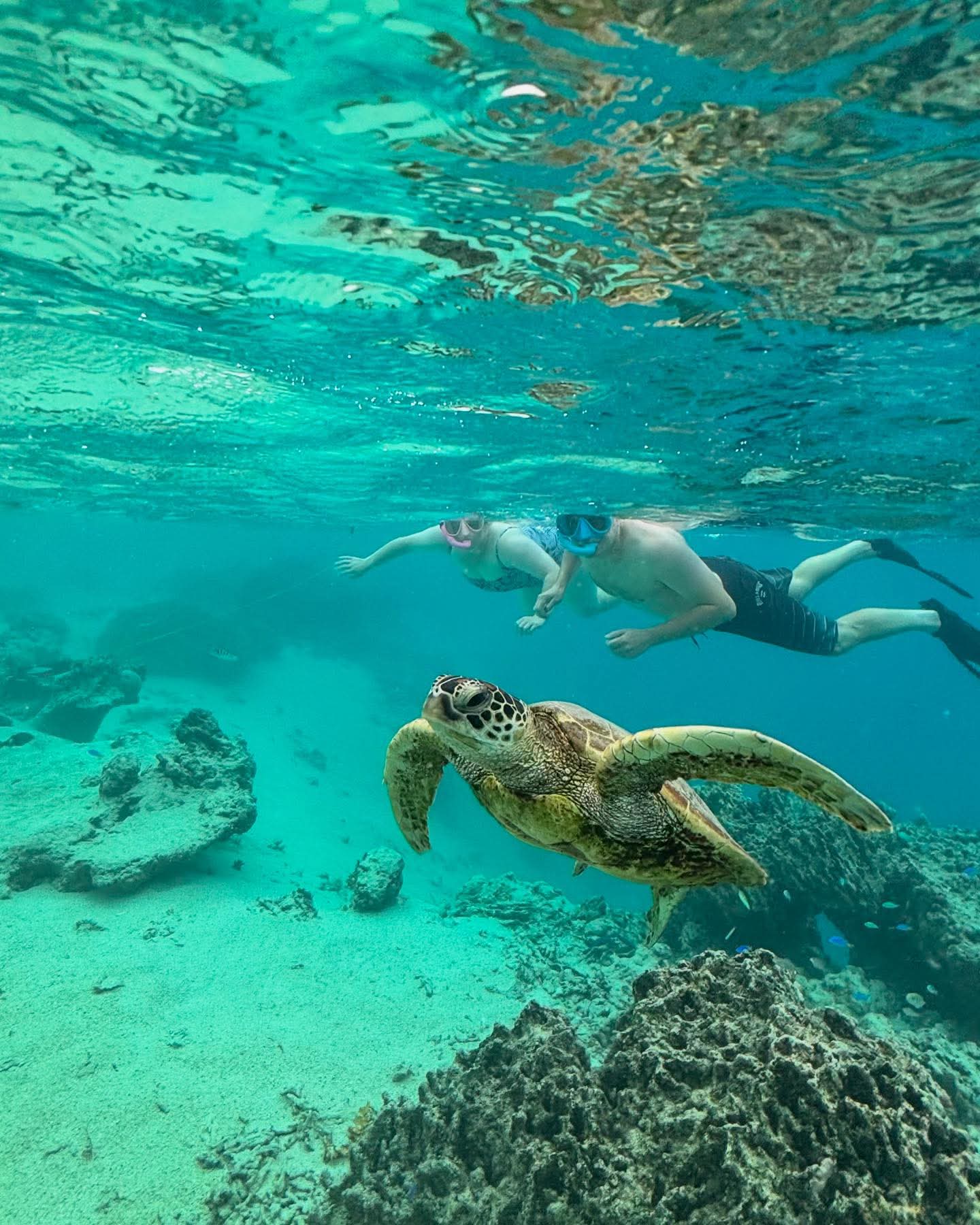 Atlantean Island Tours