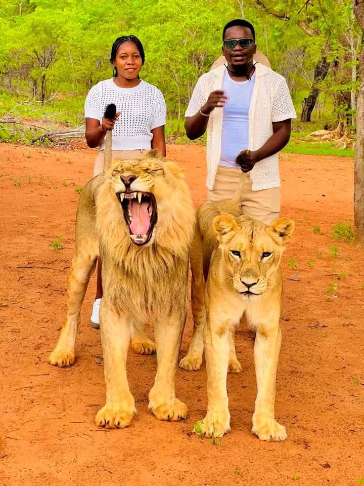 Mike Travel and Tours