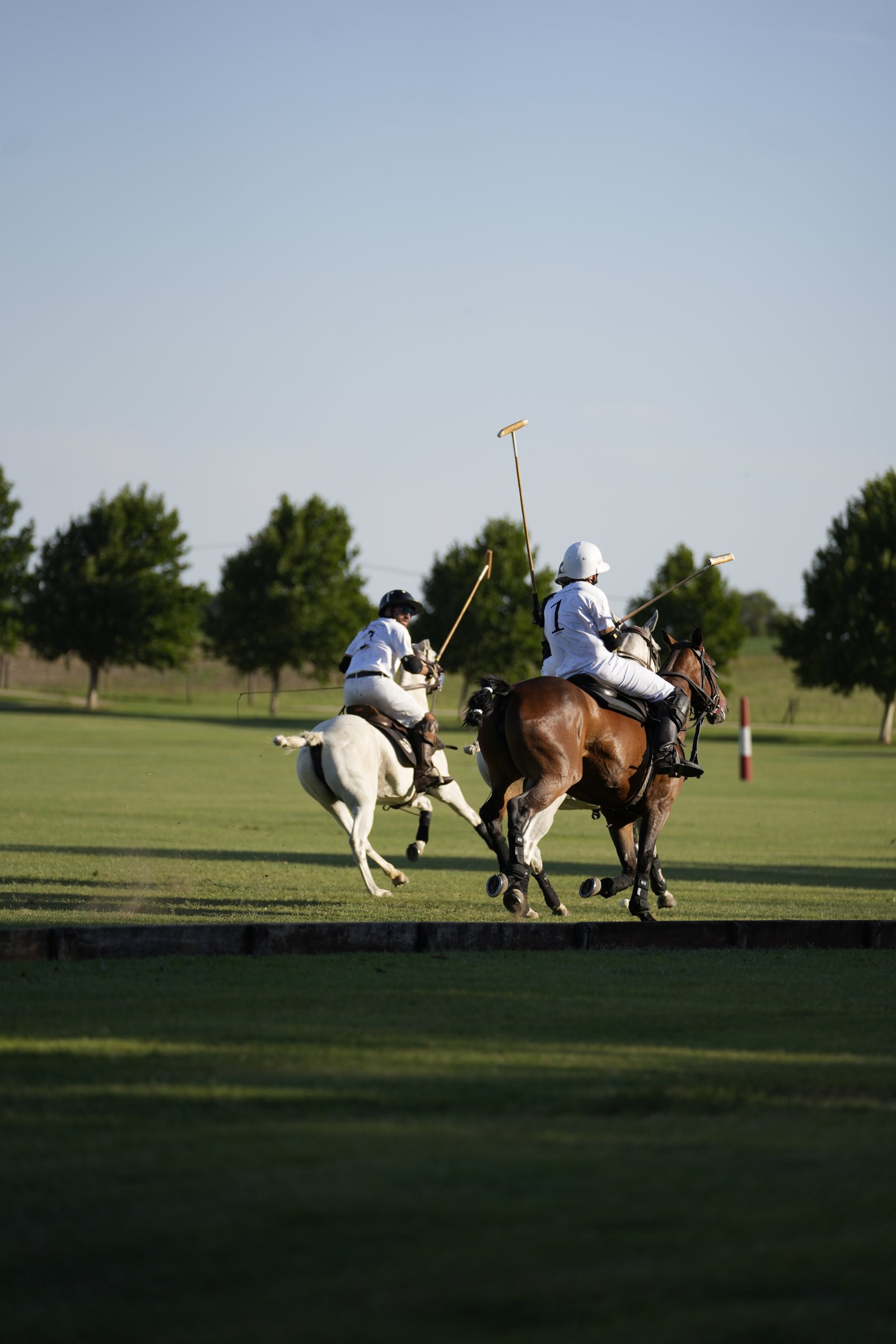 Pompeya Polo