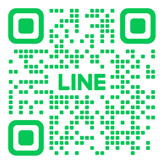 RV LIMOSINE SERVICE