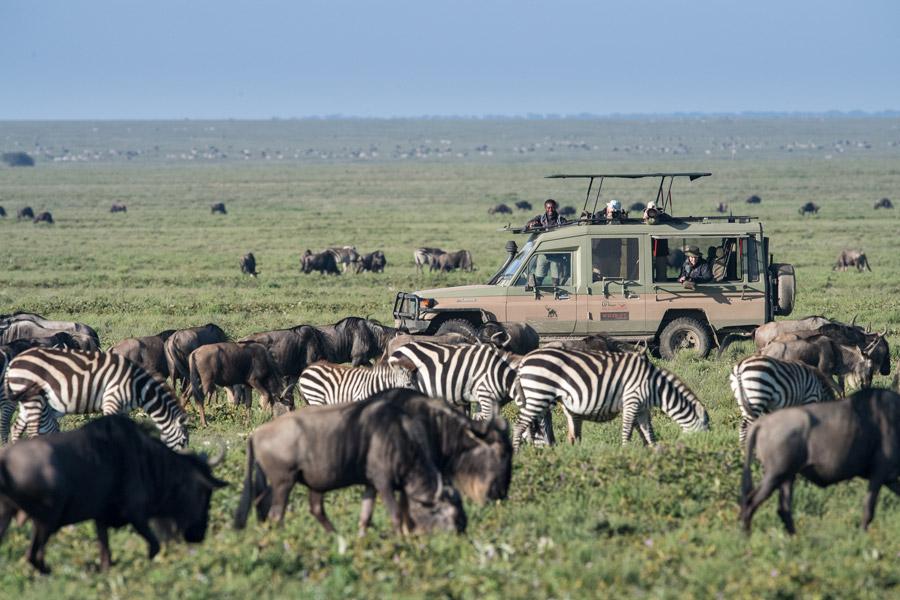 Berngo Safaris, LLC