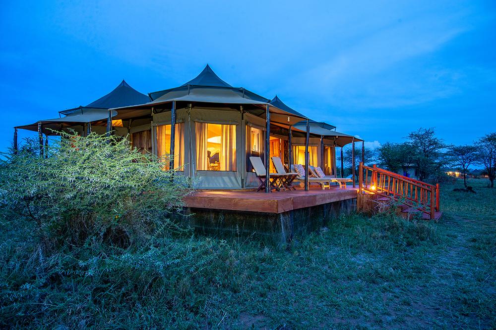 Berngo Safaris, LLC
