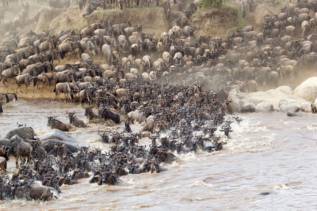 Berngo Safaris, LLC