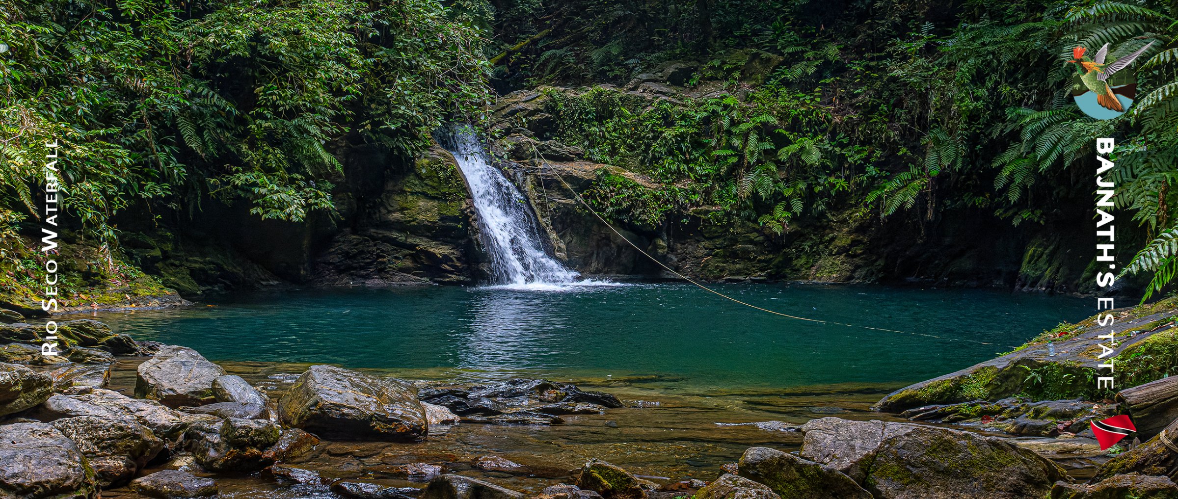 Bajnath's Estate