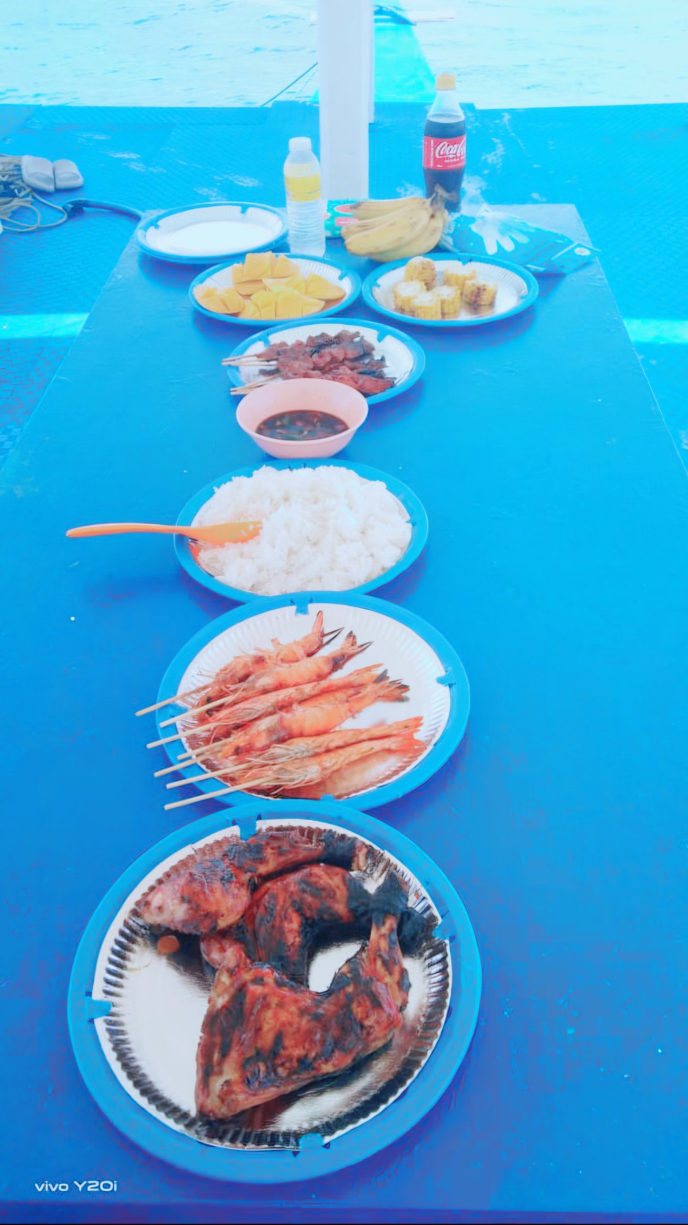 Lapu-lapu Island Hopping Tour2