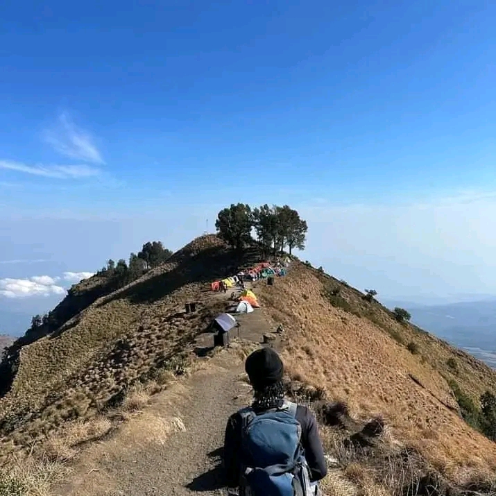 Trekking to Rinjani