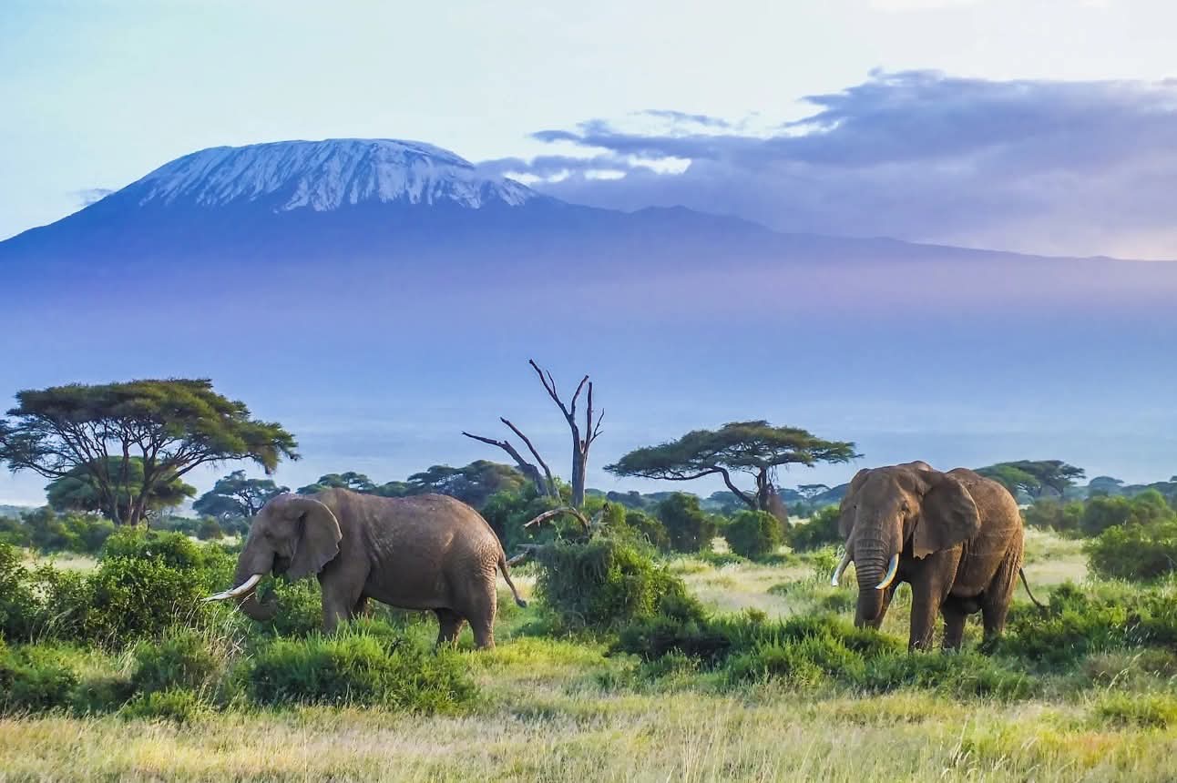 AK AFRICAN TOURS & SAFARIS LTD