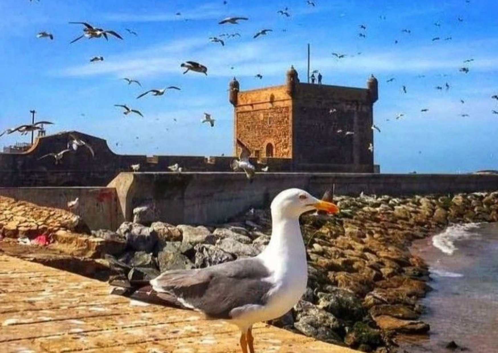 pic