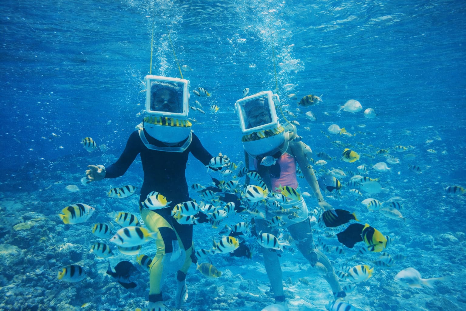 pic