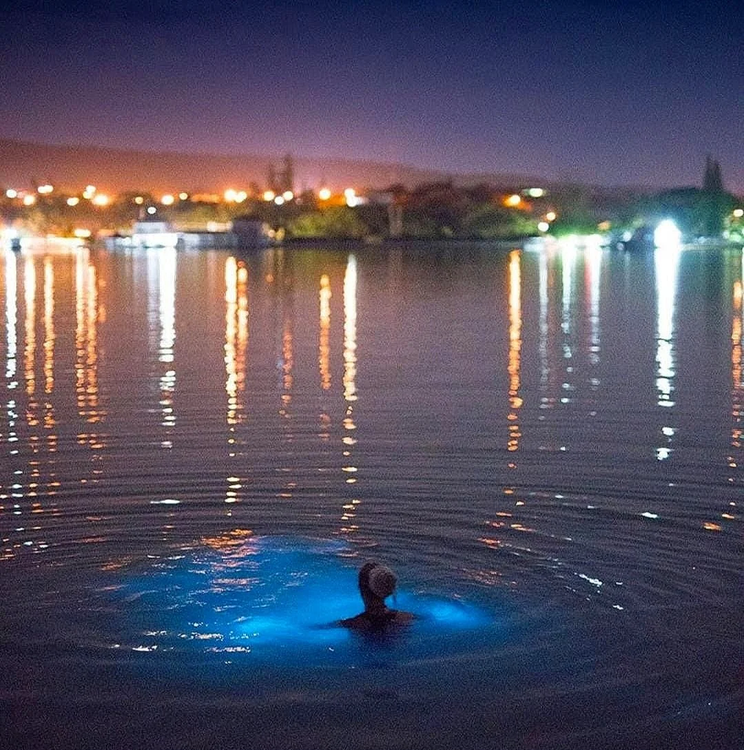 pic