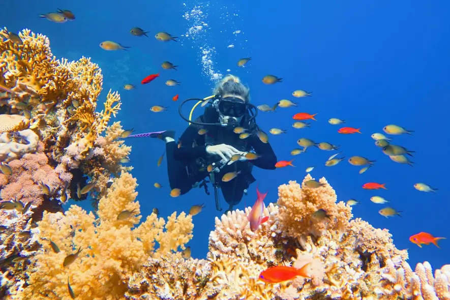 pic